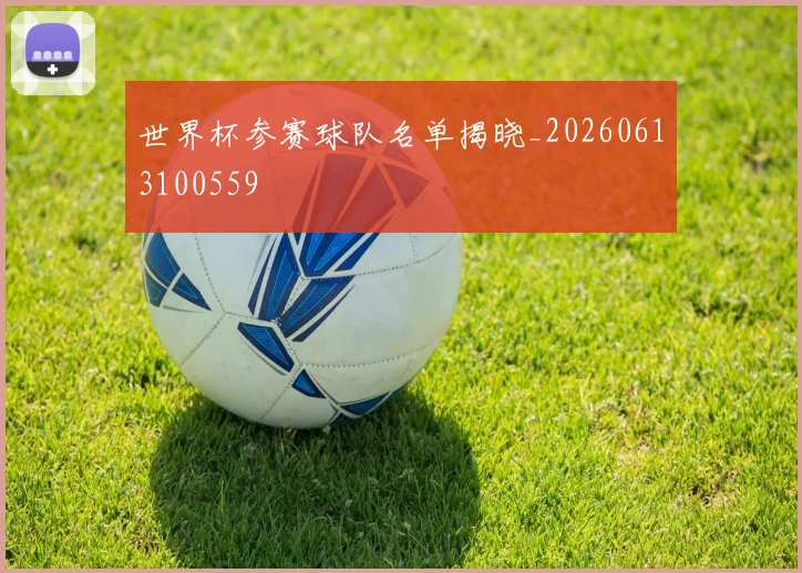 世界杯参赛球队名单揭晓_20260613100559