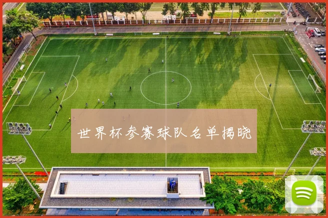 世界杯参赛球队名单揭晓