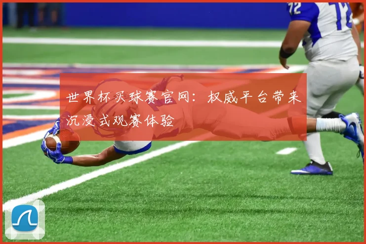 世界杯买球赛官网：权威平台带来沉浸式观赛体验