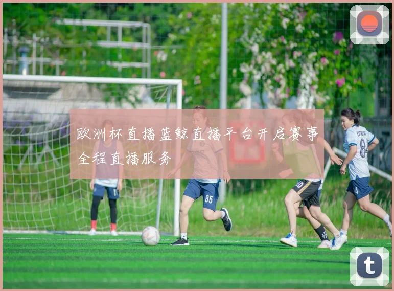 欧洲杯直播蓝鲸直播平台开启赛事全程直播服务