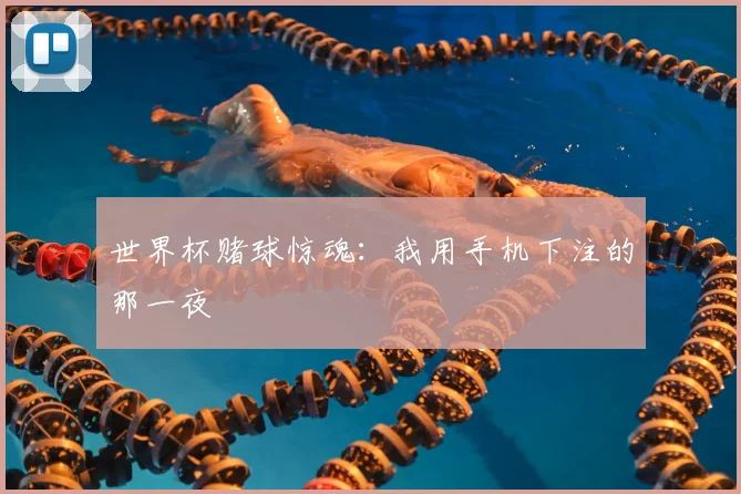 世界杯赌球惊魂：我用手机下注的那一夜