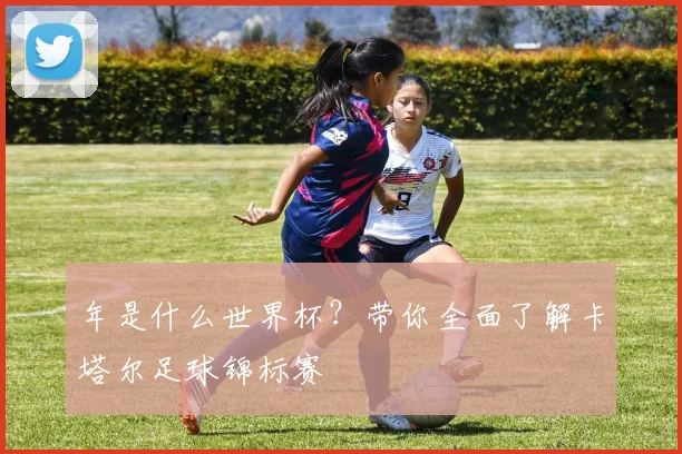 年是什么世界杯？带你全面了解卡塔尔足球锦标赛