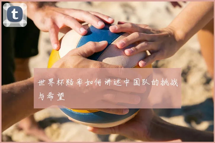 世界杯赔率如何讲述中国队的挑战与希望