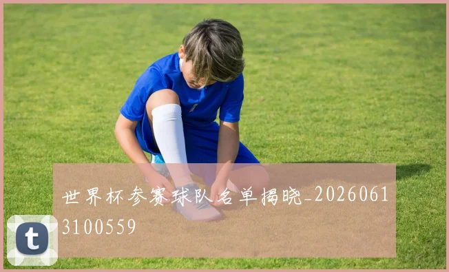 世界杯参赛球队名单揭晓_20260613100559