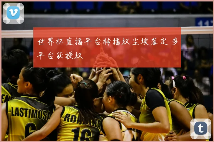 世界杯直播平台转播权尘埃落定 多平台获授权