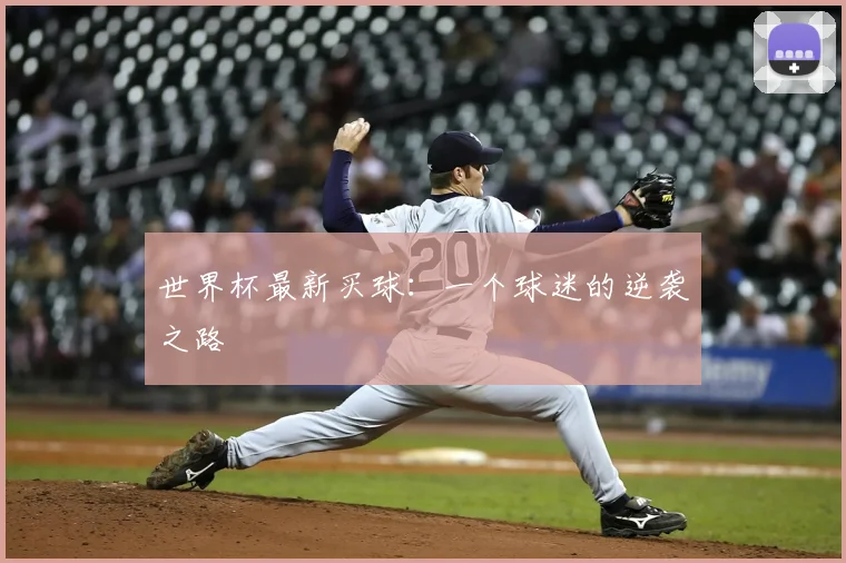 世界杯最新买球:一个球迷的逆袭之路