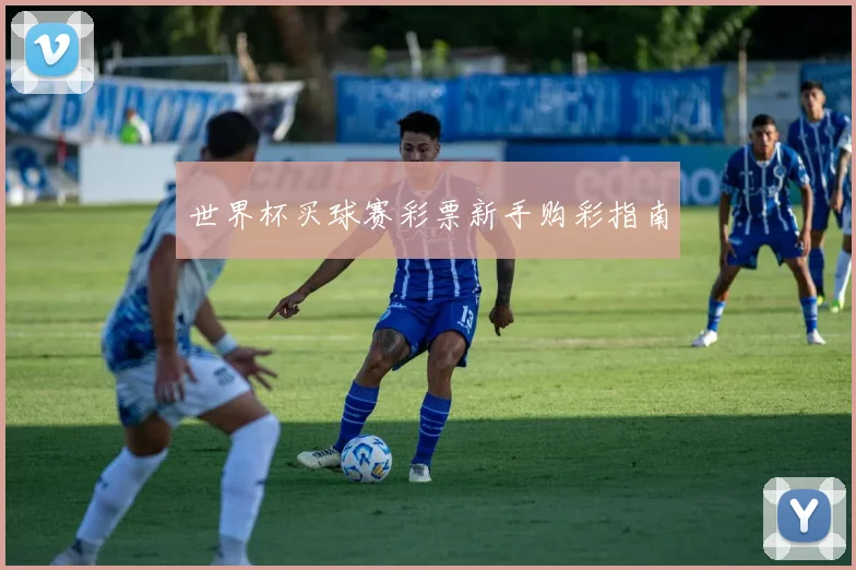 世界杯买球赛彩票新手购彩指南