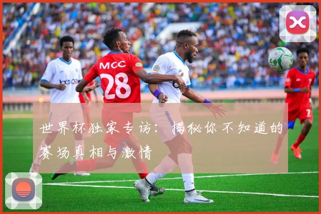 世界杯独家专访：揭秘你不知道的赛场真相与激情